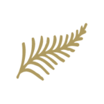 Feuille
