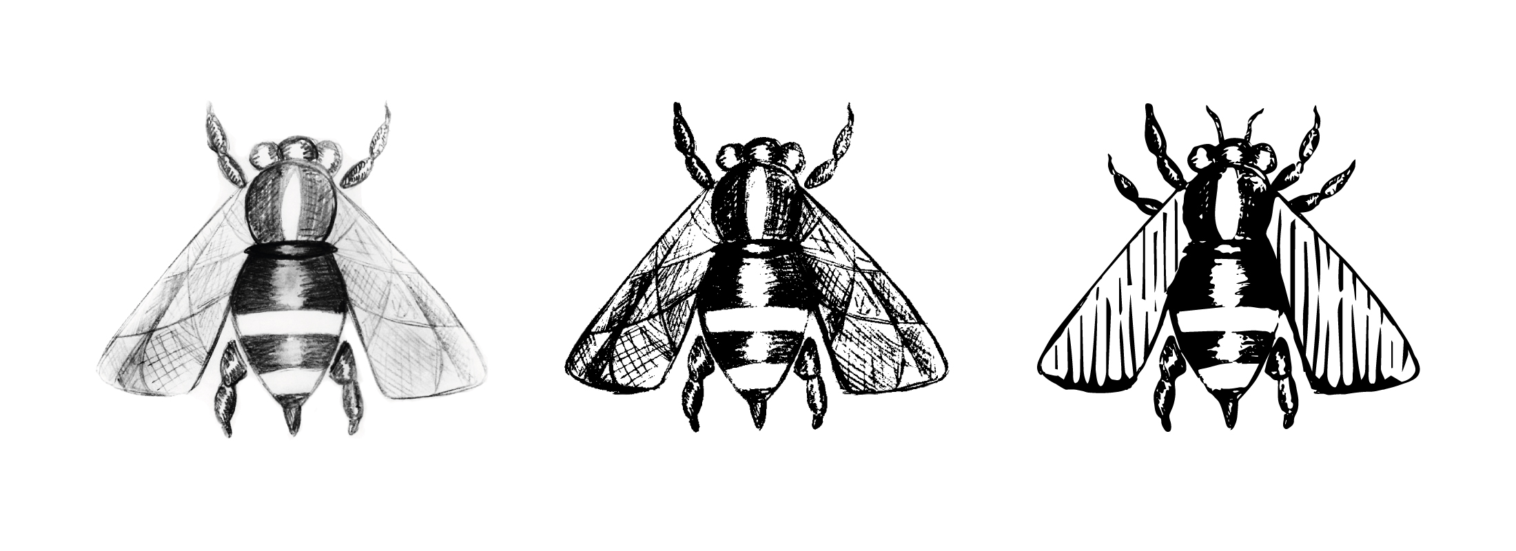 Solitude Abeilles
