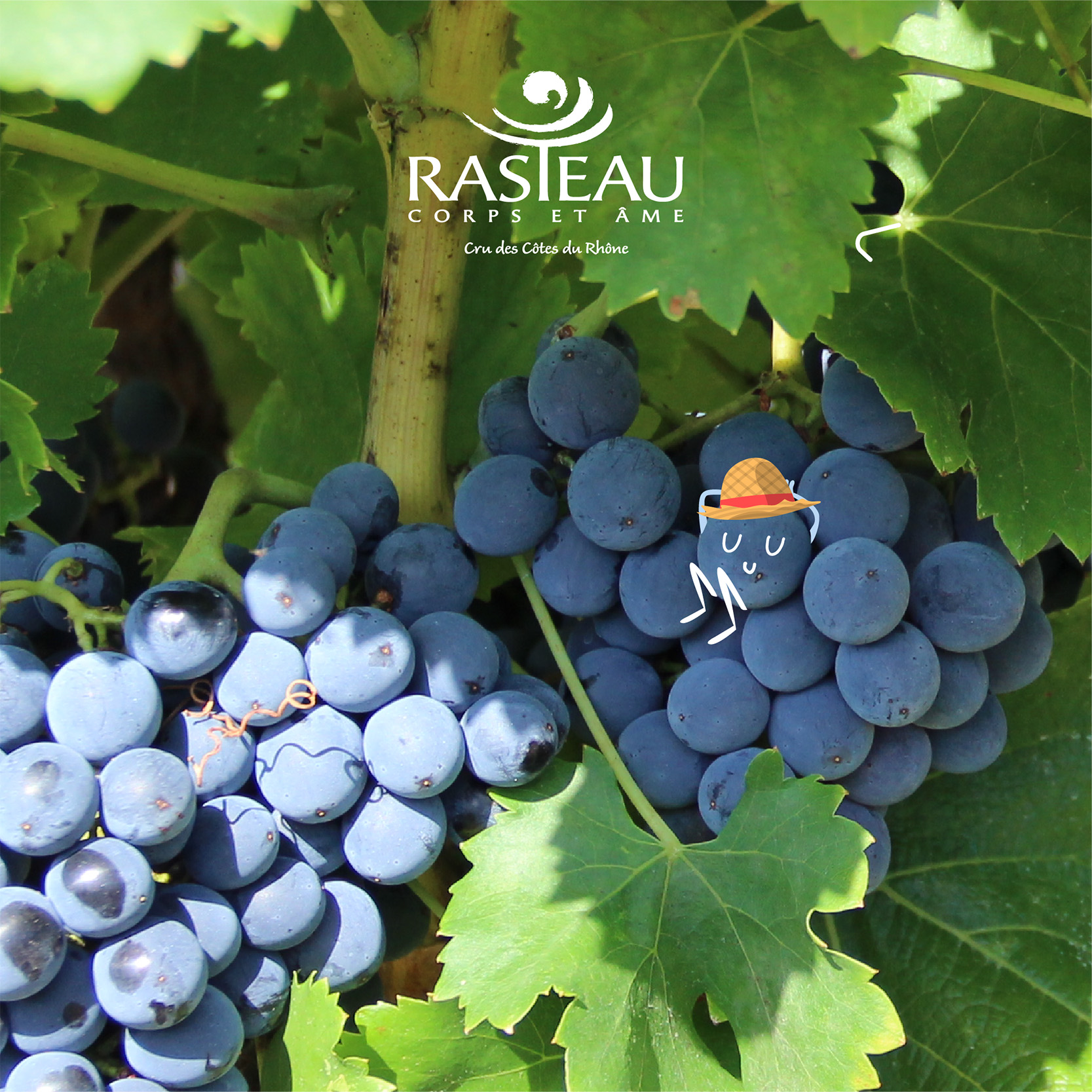 Rasteau Grenache