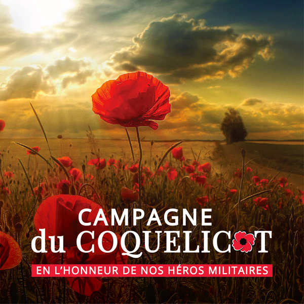 Campagne du coquelicot